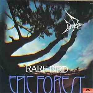 Rare Bird - Epic Forest
