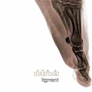 Ulna - Ligment