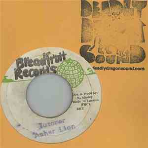 Asher Lion - Tutorer