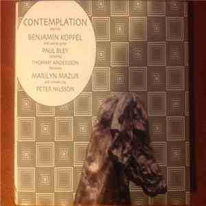 Benjamin Koppel - Contemplation