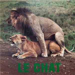 Pussycat  - Le Chat