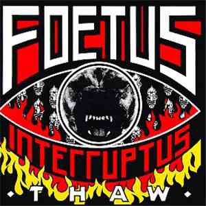 Foetus Interruptus - Thaw