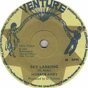Horace Andy - Sky Larking