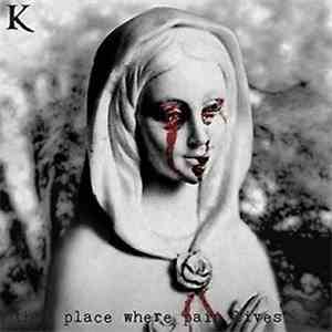 King 810 - That Place Where Pain Lives...