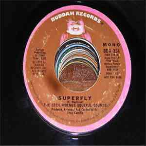 The Cecil Holmes Soulful Sounds - Superfly