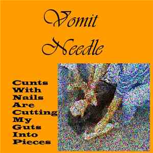 Vomit Needle - Cunts With Nails Are Cutting My Guts Into Pieces
