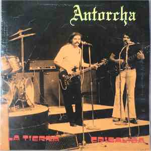 Antorcha - La Tierra / Crisalida