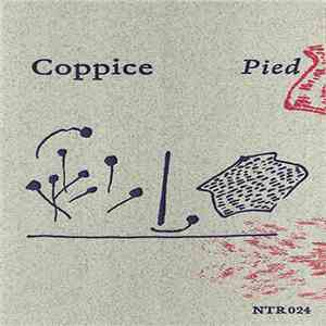 Coppice - Pied