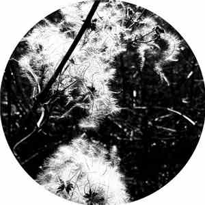 Joachim Spieth - Irradiance Reworked