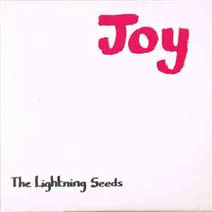 Lightning Seeds - Joy