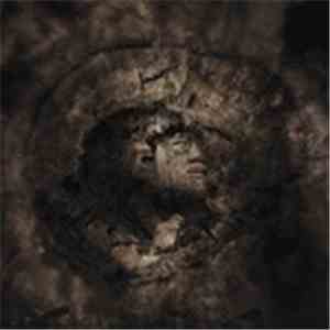 The Chasm  - Farseeing The Paranormal Abysm