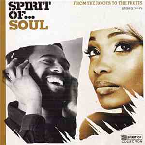 Various - Spirit Of Soul - From The Roots To The Fruits