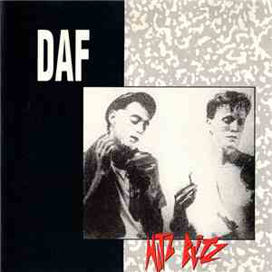 DAF - Hitz Blitz