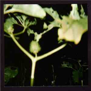 Stormhat - Hypnagogia