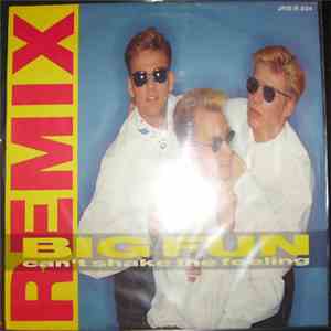 Big Fun - Can't Shake The Feeling (Remix)