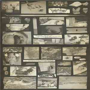 Disrotted / Bogrot - Disrotted / Bogrot