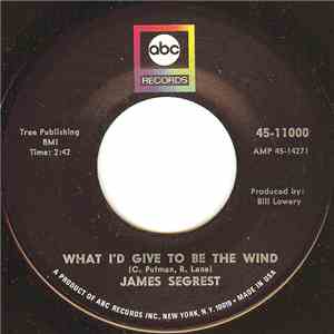 James Segrest - What I'd Give To Be The Wind