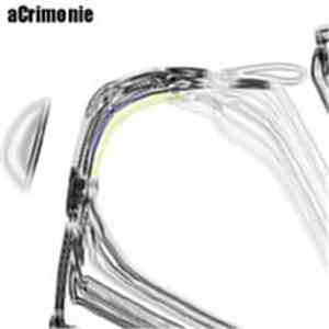 Acrimonie - aCrimonie