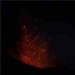 Almark - Oracle