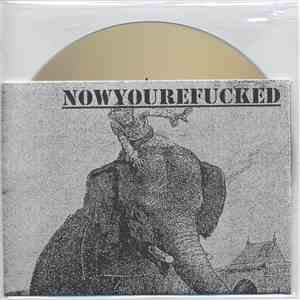 NowyourefuckeD - Pachydemo