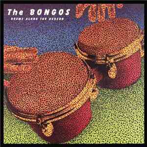The Bongos - Drums Along The Hudson