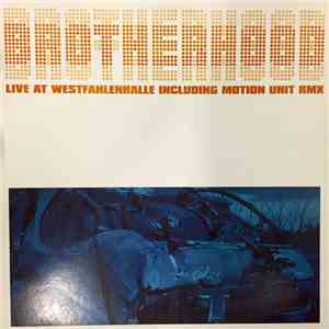 Brotherhood  - Live At Westfahlenhalle