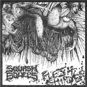 Squash Bowels / Needful Things - Flesh Grinder / Harsh Extreme