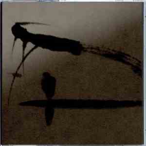 Caroline Park - Adrift