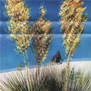 Corsican Paintbrush - Fascinators