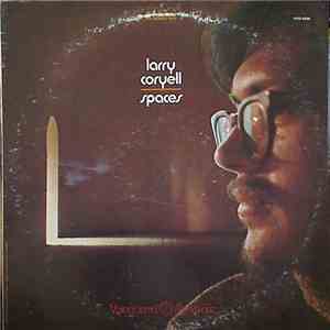 Larry Coryell - Spaces