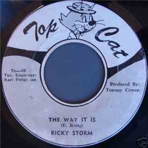 Ricky Storm - The Way It Is