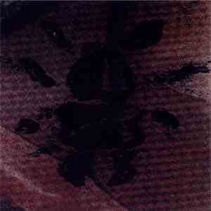 The Infant Cycle - Froth