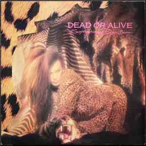 Dead Or Alive - Sophisticated Boom Boom