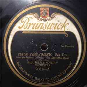 Paul Biese's Novelty Orchestra / Gene Rodemich's Orchestra - I'm So Sympath ...