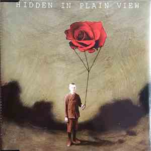 Hidden In Plain View - Bleed For You