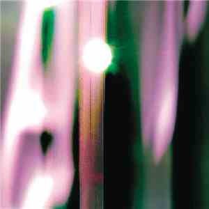 Craig Ward & Radboud Mens - The Drive To Taxonomy