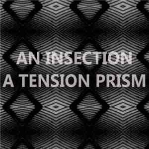 An Insection - A Tension Prism