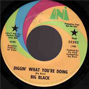 Big Black  - Diggin' What You're Doin' / Long Hair