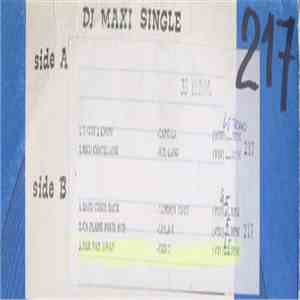 Various - DJ Maxi Single 217