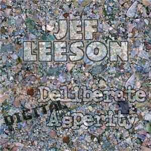 Jef Leeson - Deliberate Digital Asperity