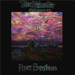 Total Spiritual Split Orchestra - First Experience