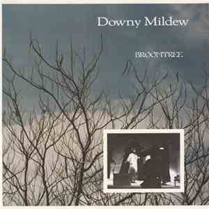 Downy Mildew - Broomtree