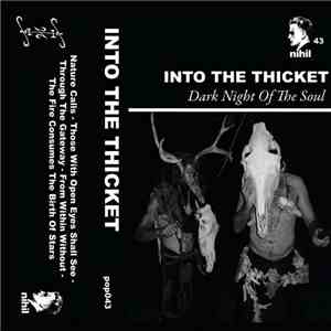 Into The Thicket - Dark Night Of The Soul