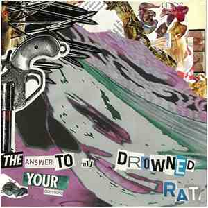 The Answer To All Your Questions / Drowned Rat - Decayed Screams
