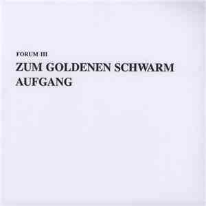 Zum Goldenen Schwarm - Aufgang