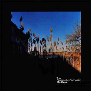 The Cinematic Orchestra - Ma Fleur