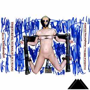 Torturing Nurse / Fujui Wang - Live In NOIshanghai
