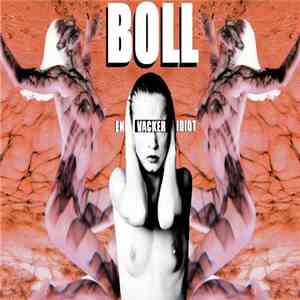 Boll - En Vacker Idiot