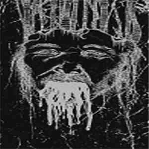 Divided Void - The Last Limb Of Putrefaction