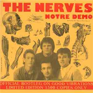 The Nerves - Notre Demo
